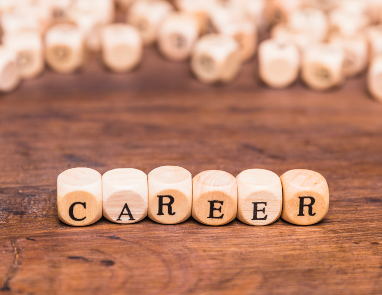 Portfolio Building career